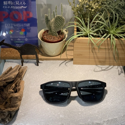 SMITH / スミス】PINPOINT アジアンフィット Matte Black (ChromaPop