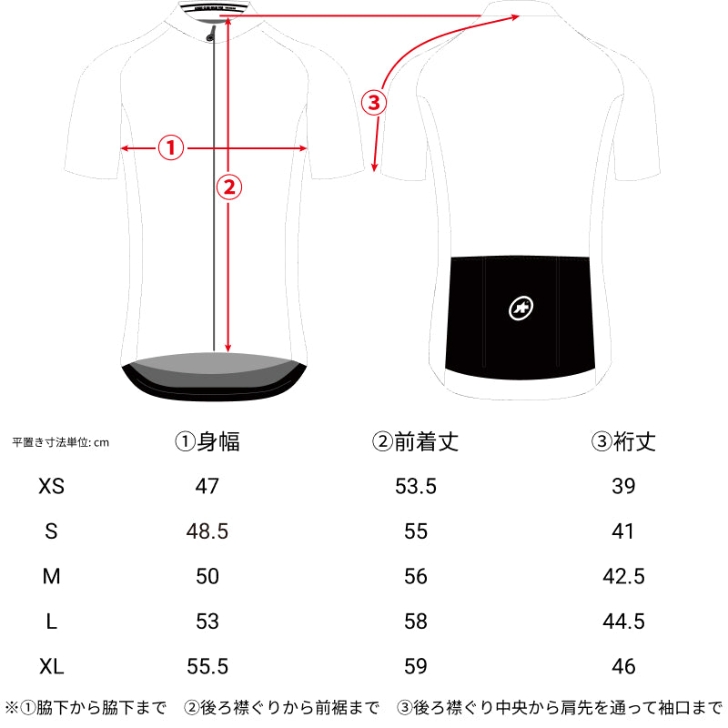 SALE【ASSOS / アソス】MILLE GT SS JERSEY C2 EVO STAHLSTERN stone blue（コンフォート系 半袖ジャージ）